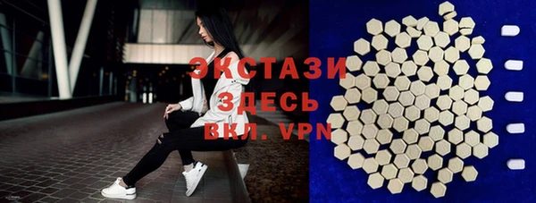 амф Верхний Тагил