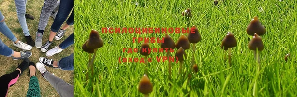 амф Верхний Тагил