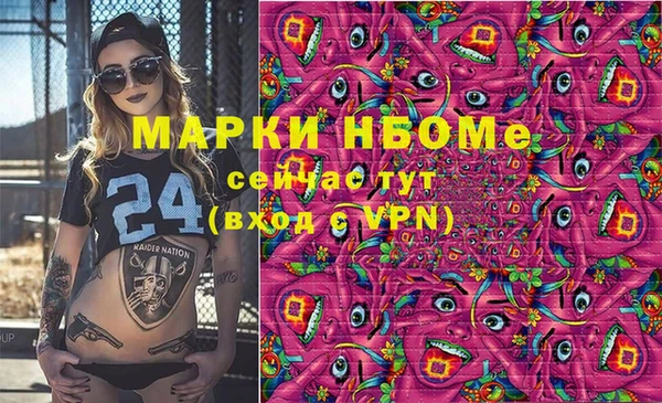 амф Верхний Тагил