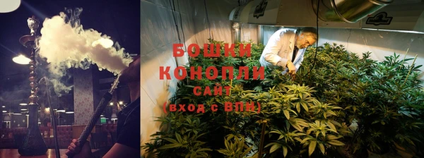 амф Верхний Тагил
