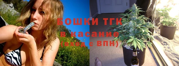 амф Верхний Тагил
